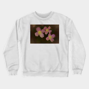 Designer 140596 x8 Crewneck Sweatshirt